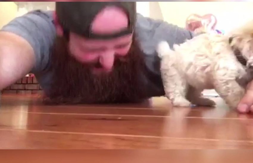 What's that sound, hooman?! ? via - JukinMedia