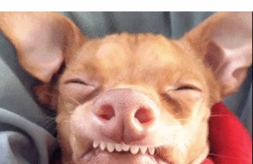 I shouldn't of had that last vodka shot. #diplymix