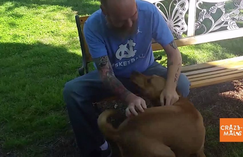Man's Reunion with His Dog Will Warm Your Heart
