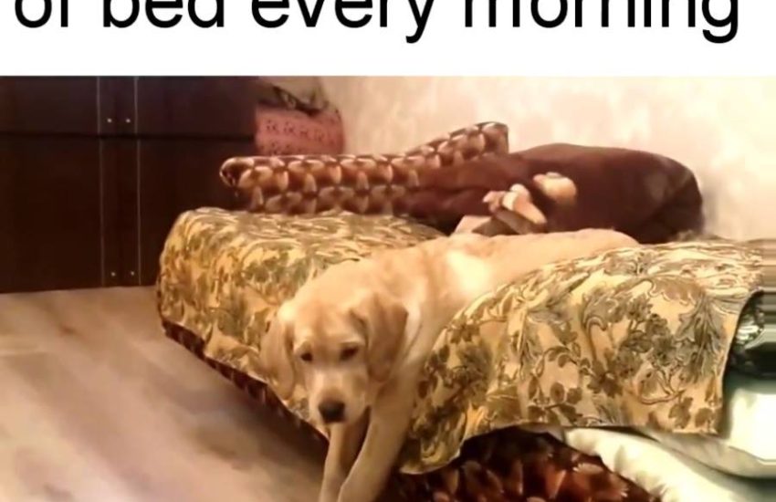 Work, why does it have to be so early? via - JukinMedia