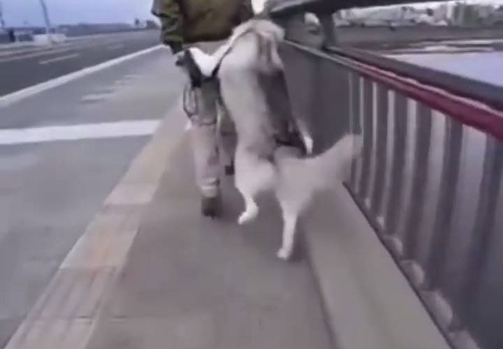 帶我回家吧觀看更多：www.thebearshit.com