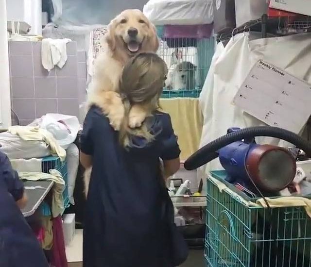 So playful! Credit: @bz_golden Watch more: www.thebearshit.com