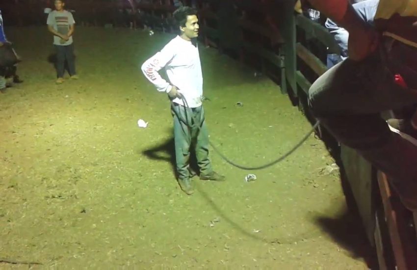 He didn't see that coming. Via: ViralHog