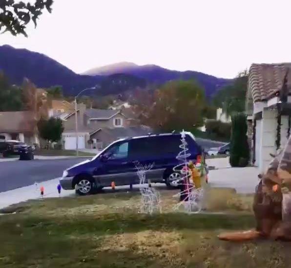 "Stay off my garden ya prehistoric hooligans!" Created by: RALPH_the_REX