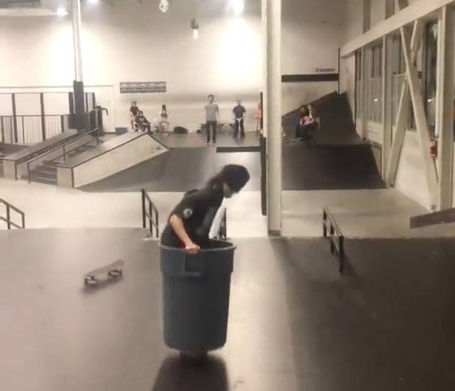 Bin Skating