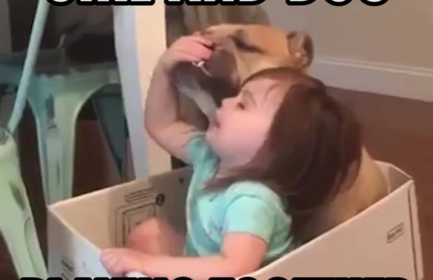 Girl and Dog Playing Together