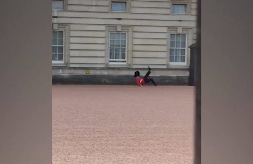 Royal Guard Fully Stacks It