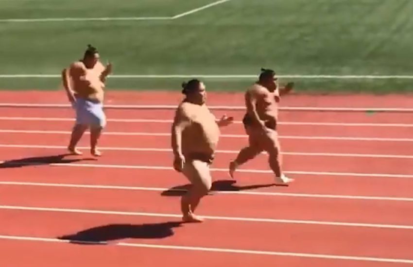 Sumos Doing The 100 Metre Sprint