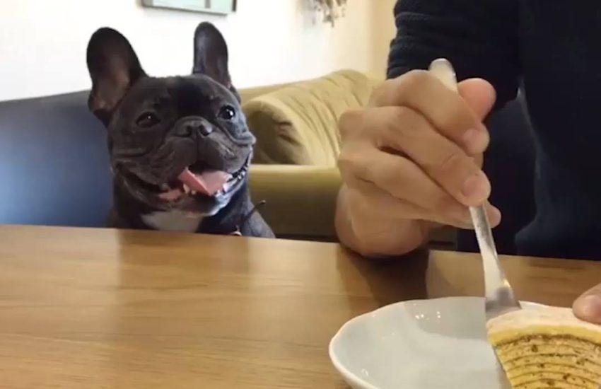 When Your Girlfriend 'Isn't Hungry'