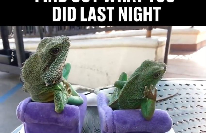 When Your Friends Find Out What You Did Last Night