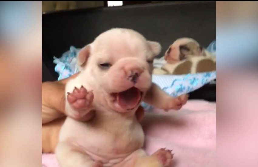 When you realize it's only Tuesday