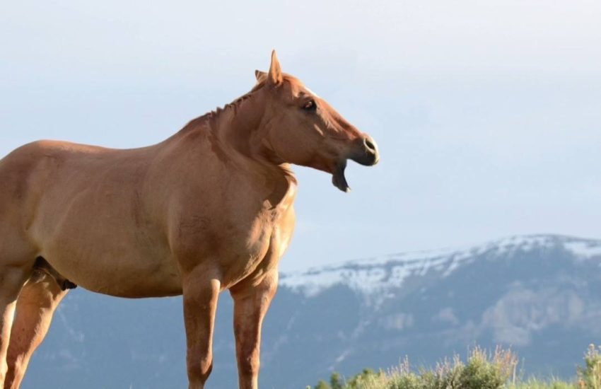 When someone tickles your neck