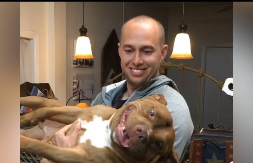 I will never be as happy as this dog