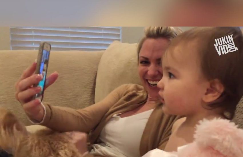 Babies video calling each other for first time is the funniest...