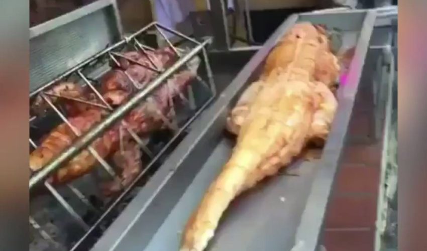 燒烤鱷魚和蟒蛇