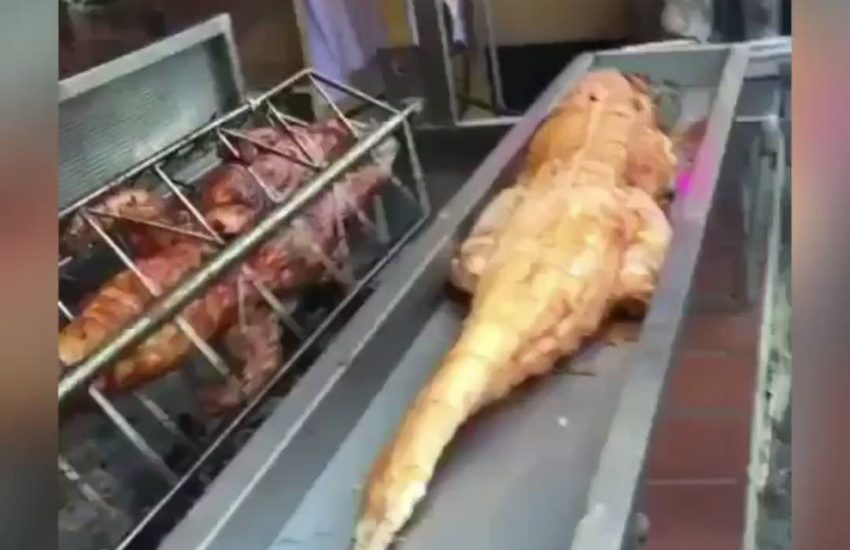 BBQ alligator and anaconda