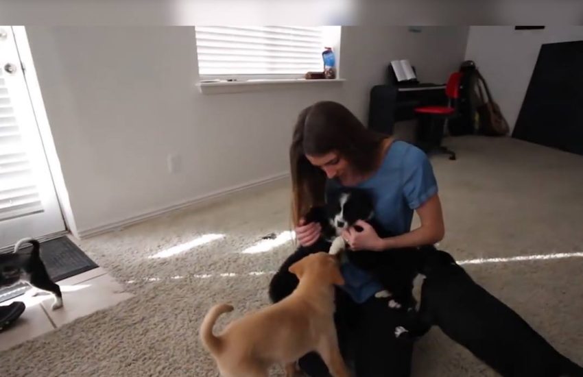 Guy fills house with puppies to surprise his wife