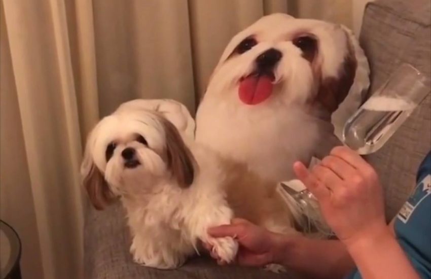 When you're the goodest girl