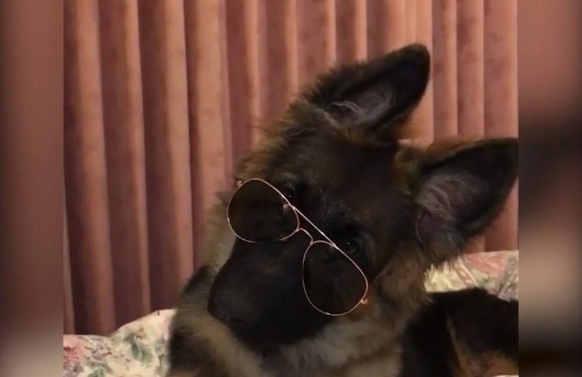 When someone tells a story and you know they're lying