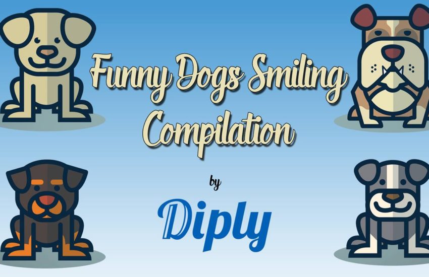 Funny Dog Smiling Compilation. CUTE!!!