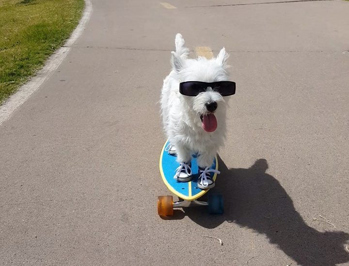 How I take on Mondays! :D via - JukinMedia