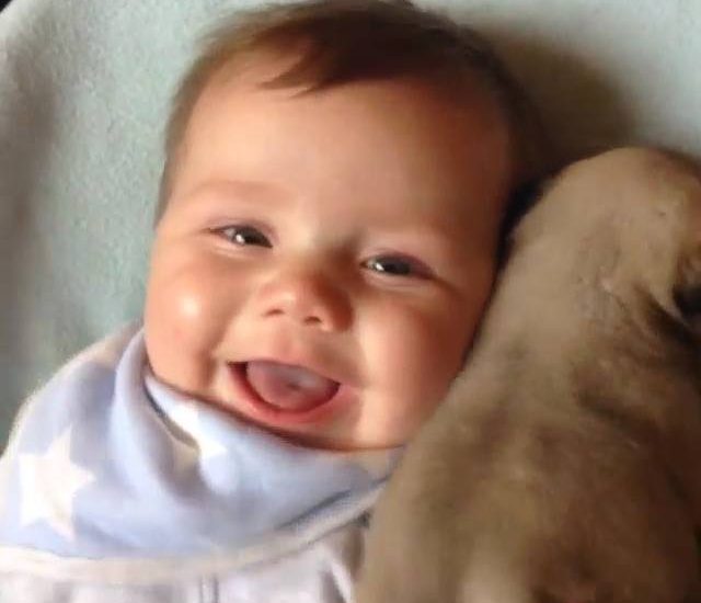 This baby can't stop smiling from all of the kisses he's getting from the puppy! <3 via - JukinMedia