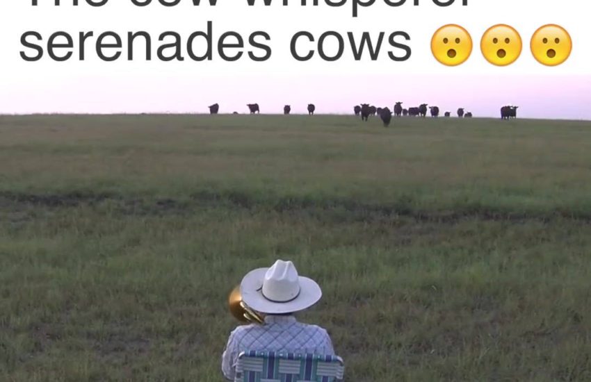 credit: Klingenberg Farms Studios