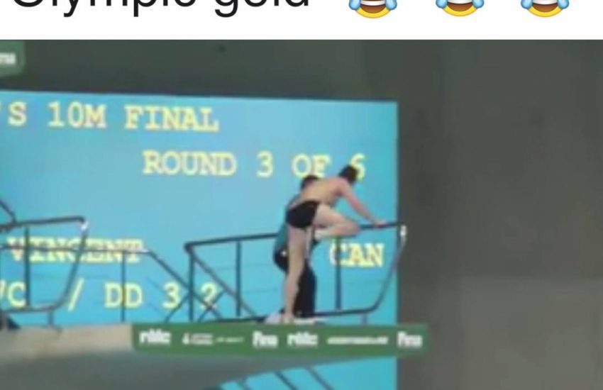 Credit: TrollStation