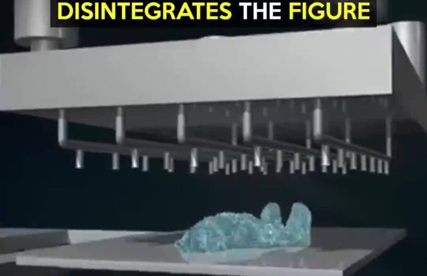 Could this ecological alternative replace traditional burial sites?