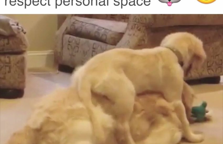 What a comfy seat this is...