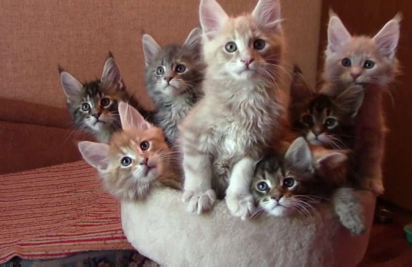 What more could you ask for?! <3