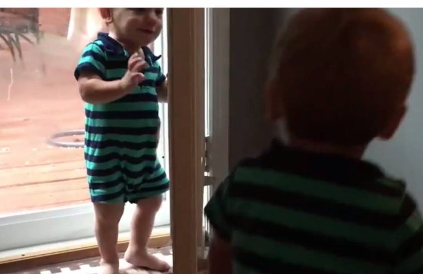 Too cute for words credit: Newsflare