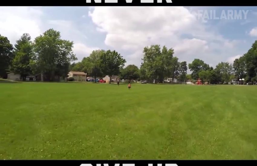 Bulldog Snatches Drone