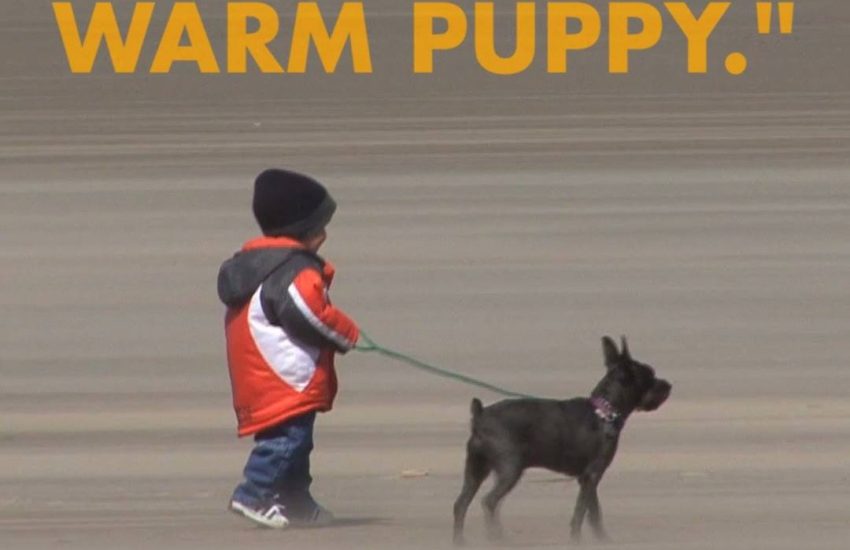 Happiness Is A Warm Puppy