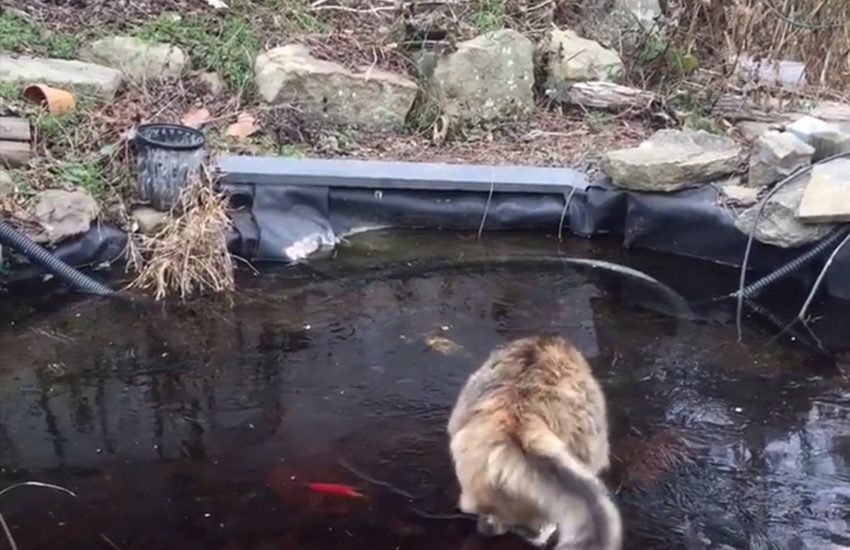 The struggle is real! ??? #diplymix