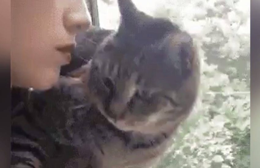 No chills were given! ?? #diplymix