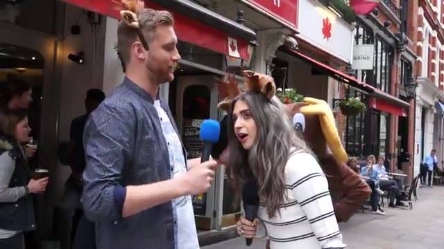 MOOSE或DARE
