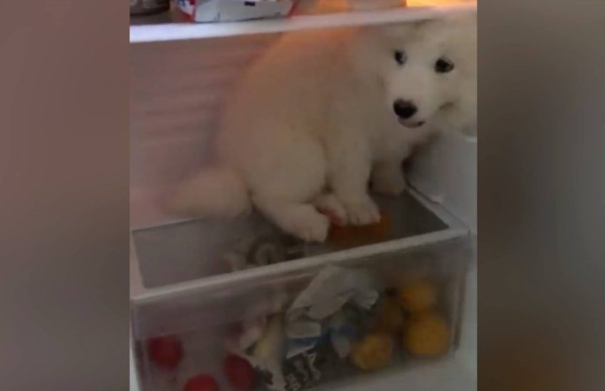 Actual footage of me during summer weather