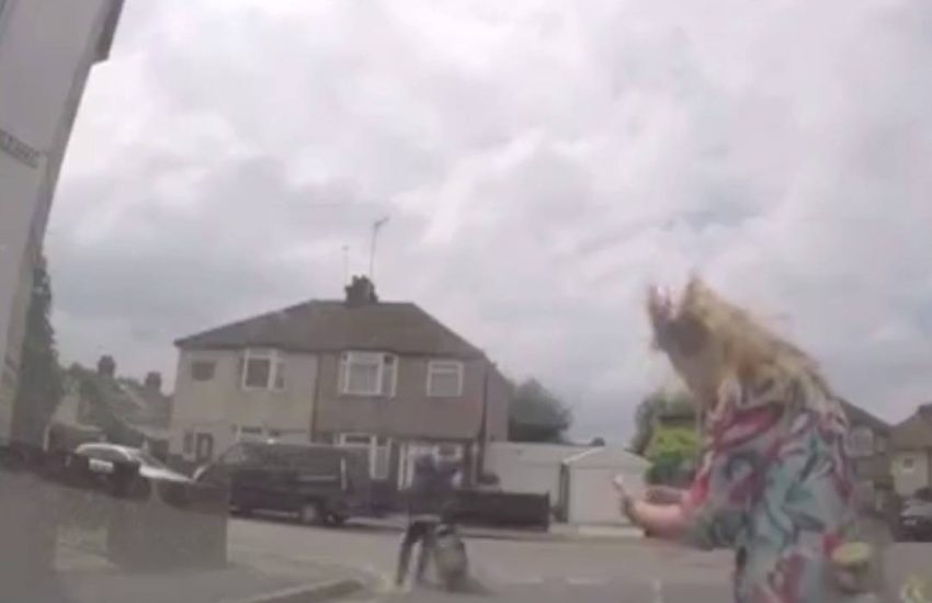 Insurance scammers hilariously fail