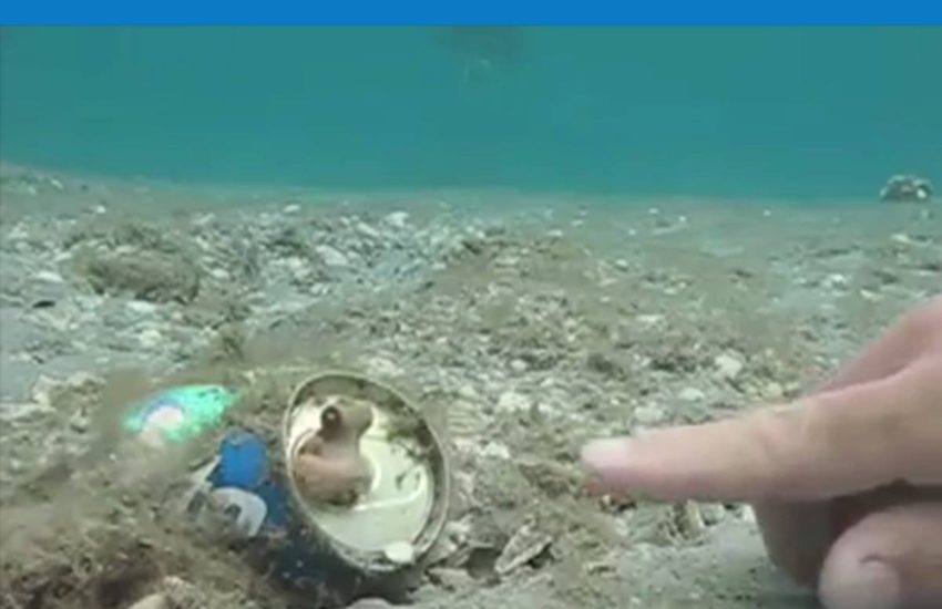 Hello there! #onedip