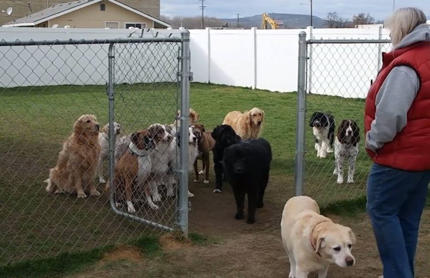 Each patiently waiting their turn :) via - JukinMedia