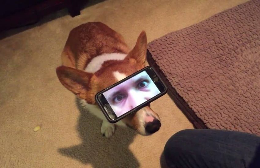 Don't give me those eyes!