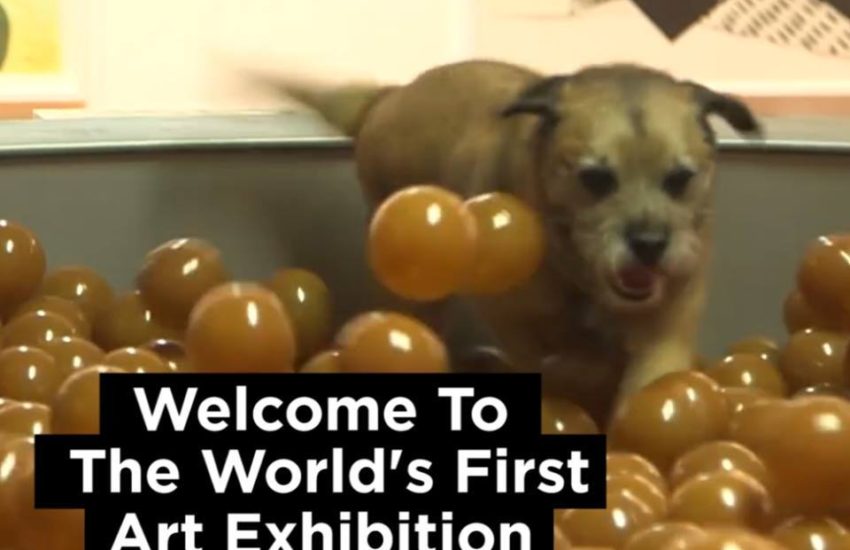 World's First Art Exhibition For Dogs