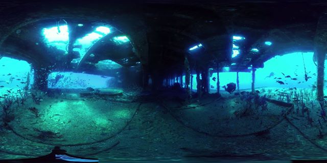 360度視頻 – 在鯊魚坦克