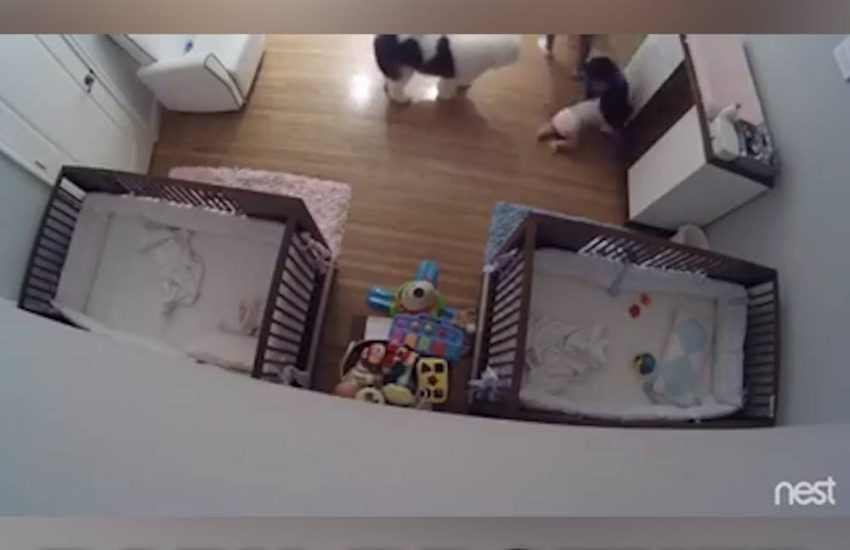 9 Year-Old Catches Baby Brother