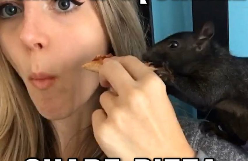 Girl & Squirrel Share Pizza