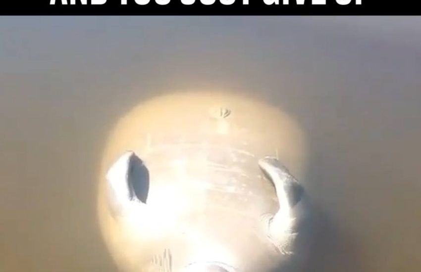 When It Gets To Friday And You Just Give Up