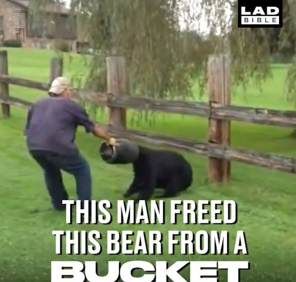 This Man Rescued This Bear's Head From A Bucket