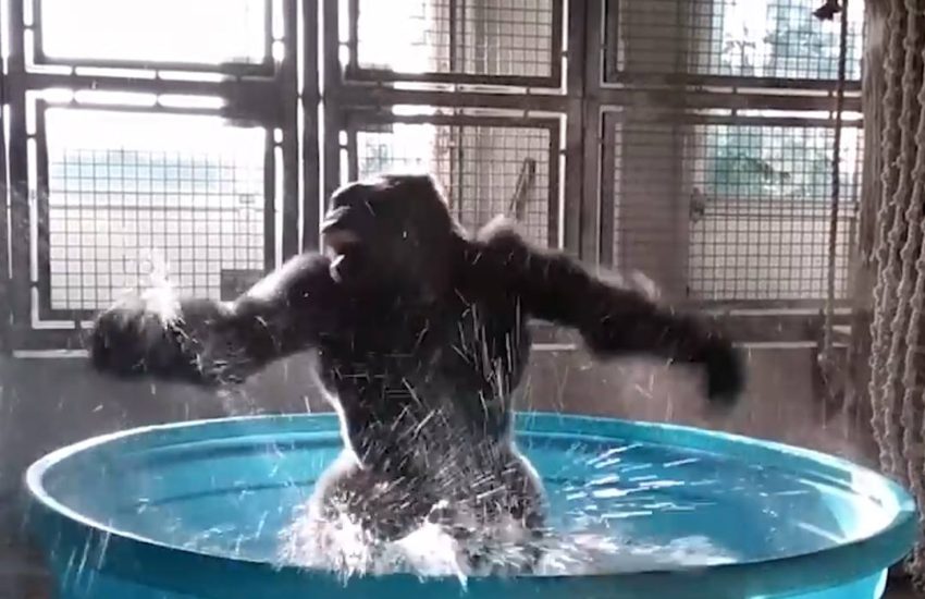 When You Get That Friday Feeling