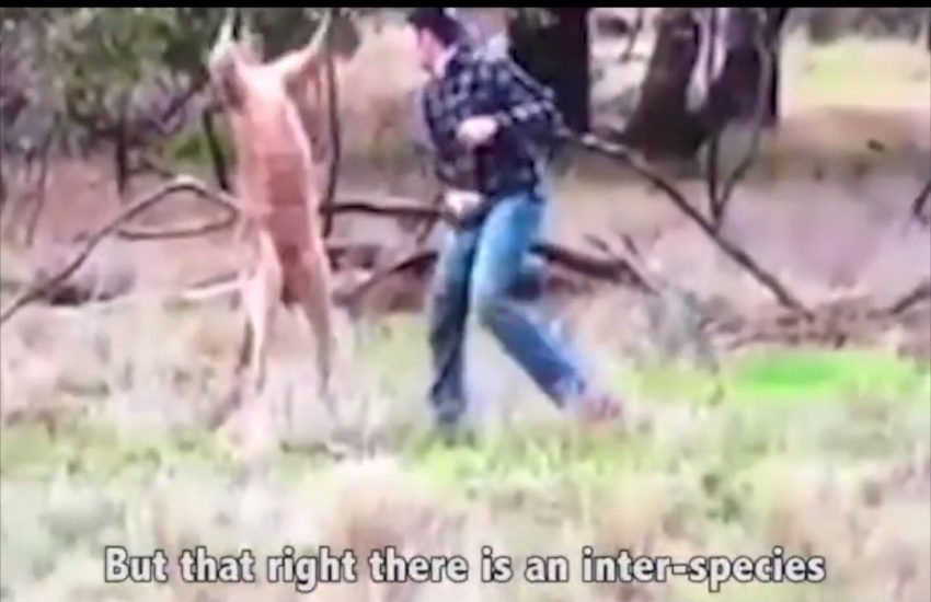 It was only a matter of time... Credit: Ozzy Man Reviews